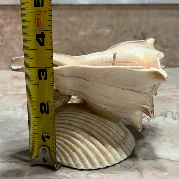 Conch Shell with Candle - Picture 7 of 7